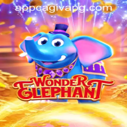 WonderElephant: A New Level of Adventure